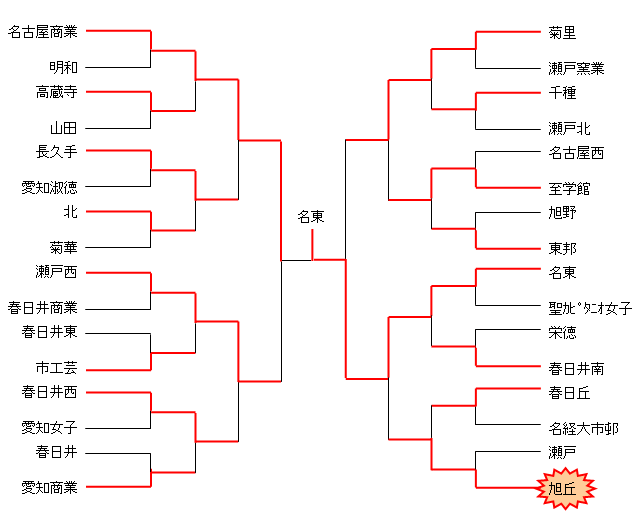 平成20年度　高校総体　名北支部予選（女子）
